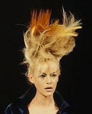 Hair that needs conditioning